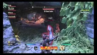 ESO (BUGS) - glitches