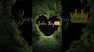 #zeeshan king #shorts #shortvideo #PRO