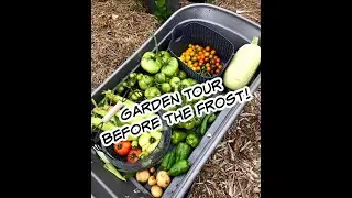 3 Favorite Organic Gardening Methods - Zone 3 Gardening