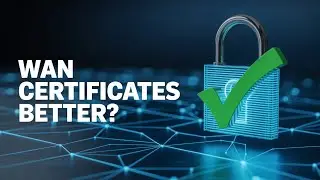 Сертификаты SD WAN или традиционные сертификаты: что лучше для безопасности сети?