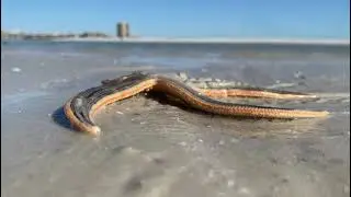 Marco Eco Tours @marcoecotours