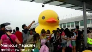 Rubber Duck Project - Hong Kong, May 25, 2013 - Meniscus Magazine