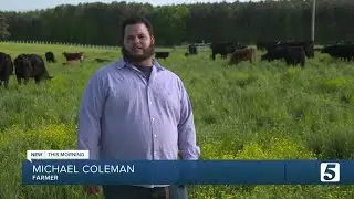 Black farmers will get $5 billion from stimulus relief package