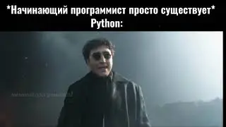 Привет Питер программист