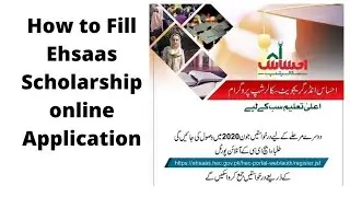 How to Fill Ehsaas Schlorship online application Form