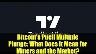 Bitcoin's Puell Multiple Plunge: What Does It Mean for Miners and the Market?