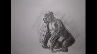draw a gorilla with sakura mechanical pencil.