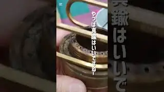 【キャンプギア紹介】アルスト関連#アルスト#五徳#ミュニーク#真鍮