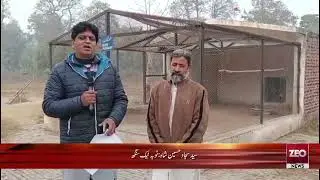 Bhagat wild life park yateemi ka shikar || Hakomti tawja ka shikar || Zeo News