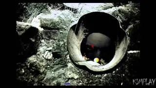 Cellar Door