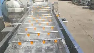 Bubble Type Fruit and Vegetable Cleaning Machine #fruitwashingmachine #vegetablewashingmachine