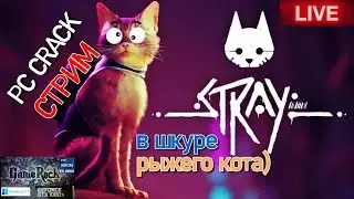 STRAY 2022 😈 НОВЫЙ ДУШЕВНЫЙ CRACK НА ПК😎 В ШКУРЕ РЫЖЕГО КОТИКf