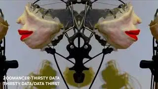 ZOOMANCER-THIRSTY DATA