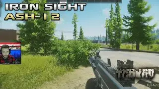 Slapping With The Iron Sights ASH-12 - Escape From Tarkov