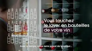 L'investissement locatif viticole by Fundovino