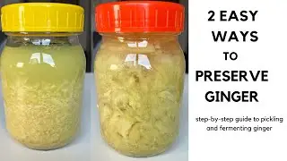 TWO EASY WAYS TO PRESERVE GINGER | PICKLING AND FERMENTING GINGER