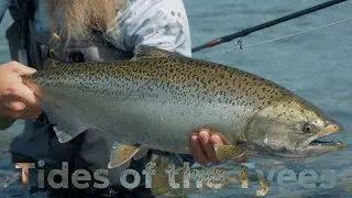 The Tides of the Tyee: A Story of Giants