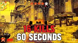 16 Kills in 60 Seconds?! BAR Goes Nuclear in WaW Plutonium