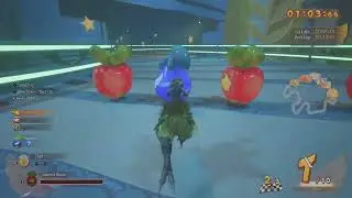 FINAL FANTASY VII REBIRTH - Chocobo race