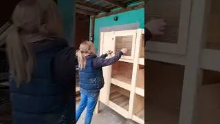 how to make a rabbit cage