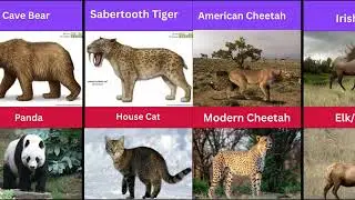EXTINCT MONSTERS THAT BECAME CUTE MODERN ANIMALS