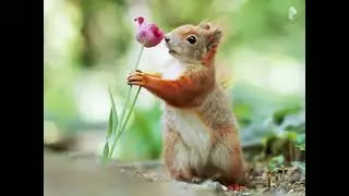 #wildlife,#animals,#nature,#wilderness #wildlifephotography,#animalsofinstagram, #naturephotography,