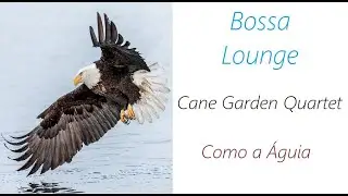 Cane Garden Quartet - Como a &Aacute;guia | ♫ RE ♫