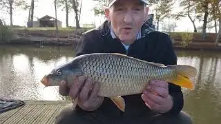 2 CARP 1 AFTER ANOTHER ON BRIGHT GREEN GROUNDBAIT & METHOD MIX WITH 12ML PELLETS 