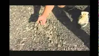 Careers in Civil Infrastructure