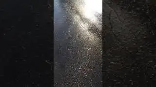 Утро. После дождя. Ноябрь, 2020/Morning. After the rain. November, 2020
