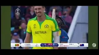 Every wicket taken by Mitchell starc  in 2019.   Icc world cup