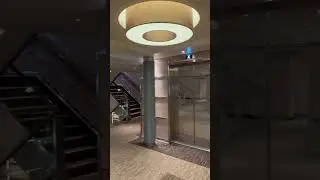 Carnival Panorama Elevators 🛳️ How To Use Carnival Smart Elevators