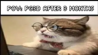 POV: PG3D after 3 months..