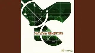 Uniformilarty (Original Mix)