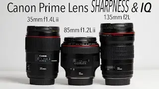 Canon L Series Prime Lenses IQ Side By Side Comparison