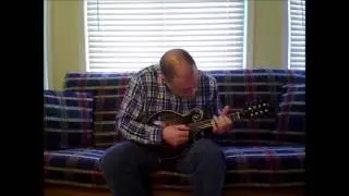 Northfield mandolin BlueChip Picks