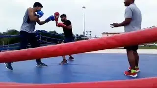 My first ever boxing sparing in ring#boxing#boxingtraining #beginnerboxing