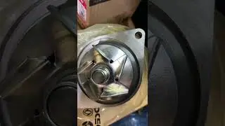 ITS JUST short video for nothing