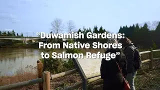Seattle Southside Stories: From Native Shores to Salmon Refuge