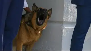 Kristi Noem Suggests President Biden&rsquo;s Dog Should Have Been Shot