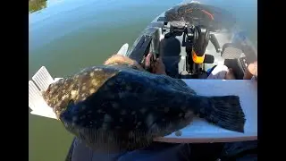 Fishing St Augustine - Trout and Flounder on artificials.
