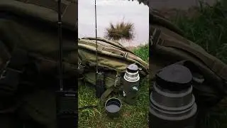tecsun pl-368 w terenie