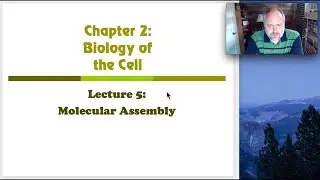 Developmental Biology_2.5: Molecular Assembly