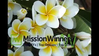 ETF Scan & Top Stocks in the Top 5 Industry Groups