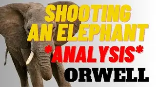 &ldquo;Shooting an Elephant by George Orwell | Symbolism of the Elephant Explained by English Professor&rdquo; 🐘