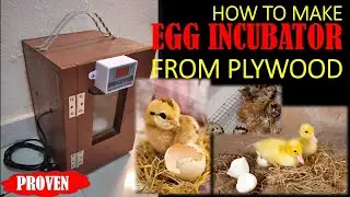 HOW TO MAKE EGG INCUBATOR FROM PLYWOOD | PROVEN ITEM | DIY |