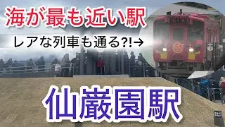 【まもなく新駅開業から1年】仙巌園駅を通過する列車たち
