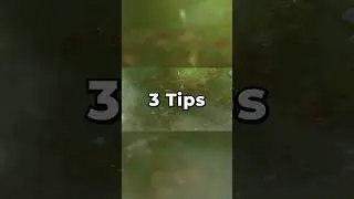 3 Quick Tips for Project Zomboid Beginners!