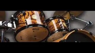 ddrum Dios Zebrawood Kit Metal Demo