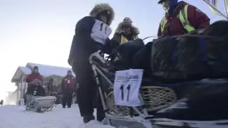 YQ2015 - The Start (quick and dirty)